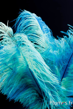 Autruche - 30-40 cm - turquoise-jaune